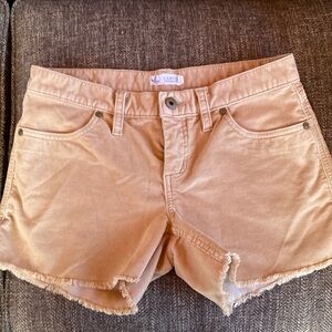 Carve Designs Oahu 4in shorts